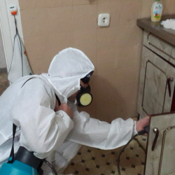 Дезинфекция от муравьев в квартире в Верещагино